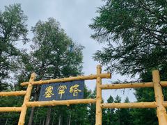 -塞罕坝国家级自然保护区