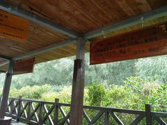 -大亚湾红树林城市湿地公园