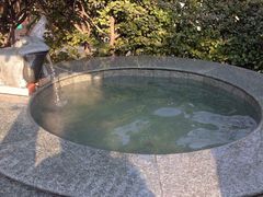 -仁爱团泊湖温泉中心