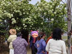 -大龙山(地铁站)