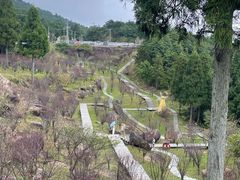 -玉苍山国家森林公园