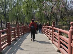 -元大都城垣遗址公园