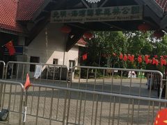 -上海海湾国家森林公园