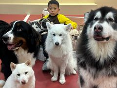 -和它·交个朋友·狗咖猫咖(爱琴海店)