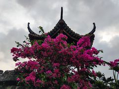 -顺峰山公园