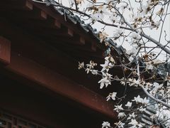 -长春观