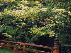 -醍醐寺