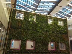 -西沃古尔·拉姆古兰爵士国际机场