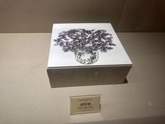 -迪庆藏族自治州博物馆