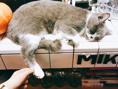 -MIKAKU(万达广场上海宝山店)