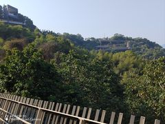 -福道