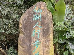 -深圳仙湖植物园