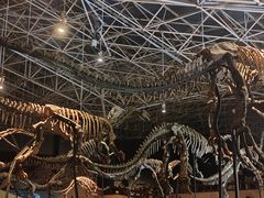 -世界恐龙谷景区