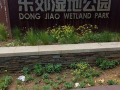 -东郊湿地公园