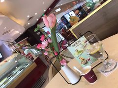 -哈根达斯(石家庄北国店)