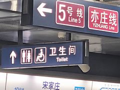 -宋家庄(地铁站)