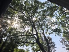 -月湖风景区