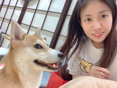 -逗柴咖啡屋·狗咖猫咖宠物桌游