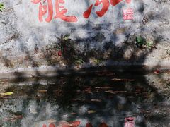 -十八棵（老龙井）御茶园(老龙井店)