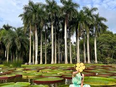 -中国科学院西双版纳热带植物园