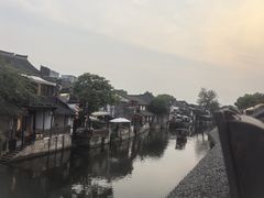 -西塘人家•黑金冠本地好店