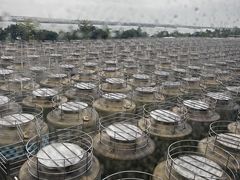 -厨邦酱油文化博览馆