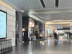 -南京禄口机场雅高铂尔曼大酒店