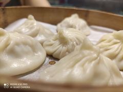 鲜肉小笼包-弄堂小笼包(天津南开大悦城店)