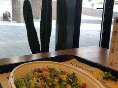 -油梨树 AVOCADO TREE(亮马桥店)