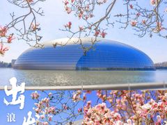 -国家大剧院