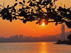 -深圳湾公园(南山区)