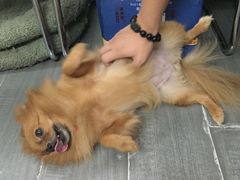 -A+摄影