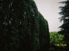 -宋庆龄陵园