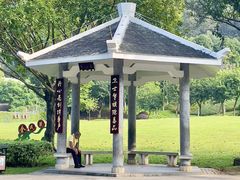 -火炉山森林公园