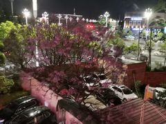 -快乐海鲜酒楼(滇池路店)