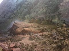 -遵义会议纪念馆