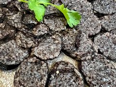 -松栢朝鲜族味道·脊骨汤(总店)