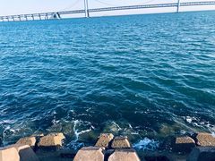 -星海广场
