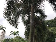 -苏丹阿都沙末大厦