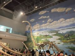 -自贡恐龙博物馆