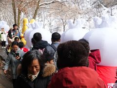 -少华山国家森林公园