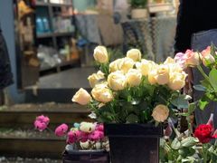 -循礼门鲜花花市(武汉循礼门店)