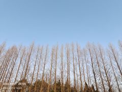 -上海野生动物园
