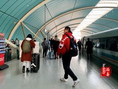 -龙阳路磁悬浮列车总站-停车场