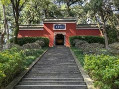 -子昂故里文化旅游区