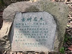 -无锡惠山寺