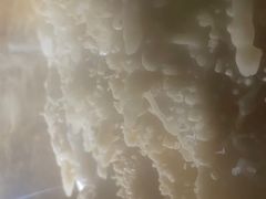 -巴马水晶宫