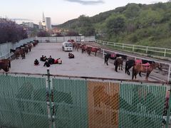 -鼎盛王朝康熙大典实景演出