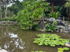 -中国科学院西双版纳热带植物园
