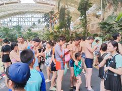 -杭州开元森泊度假乐园